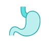 Stomach
